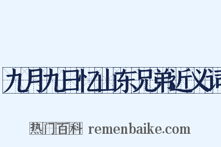 九月九日忆山东兄弟近义词是什么意思的图片